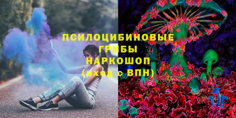 Галлюциногенные грибы Psilocybe  как найти закладки  ОМГ ОМГ   Великий Устюг 